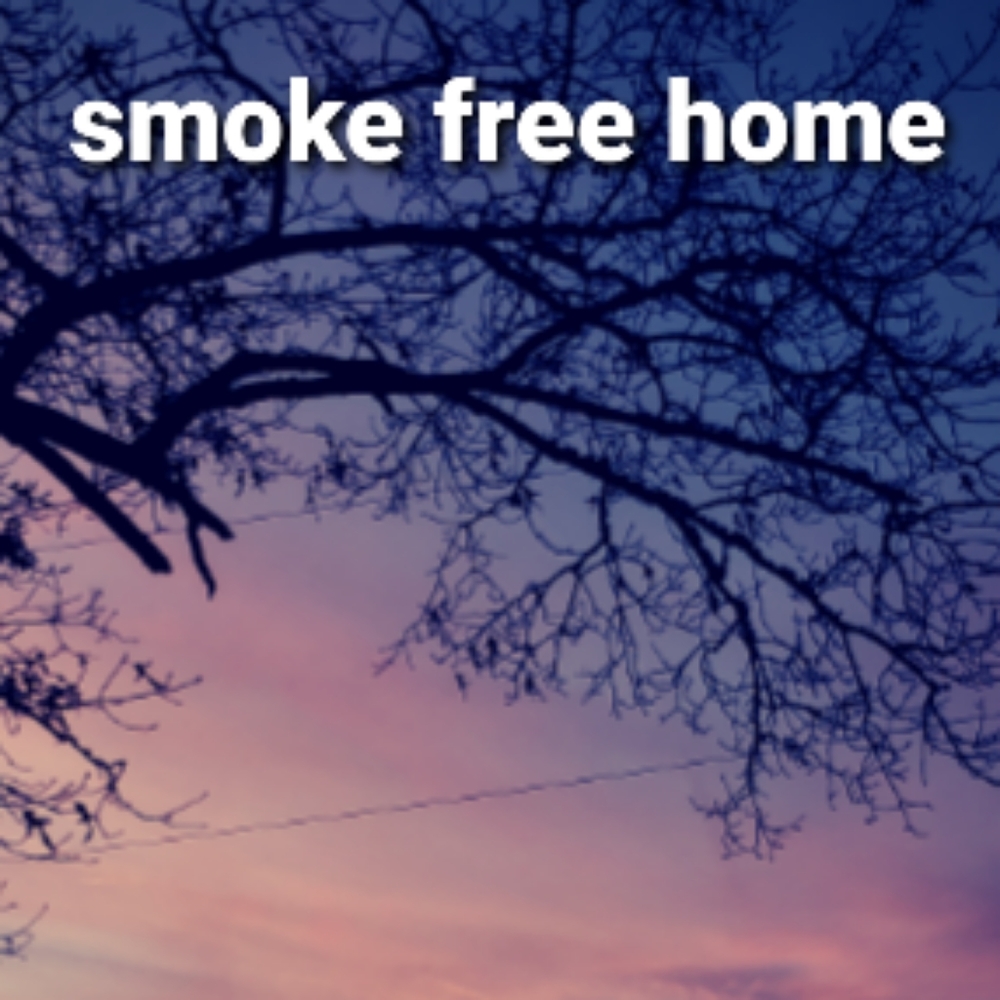 Smoke Free Pet Free Home